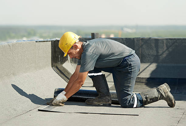 Best Spray Foam Insulation  in Teague, TX