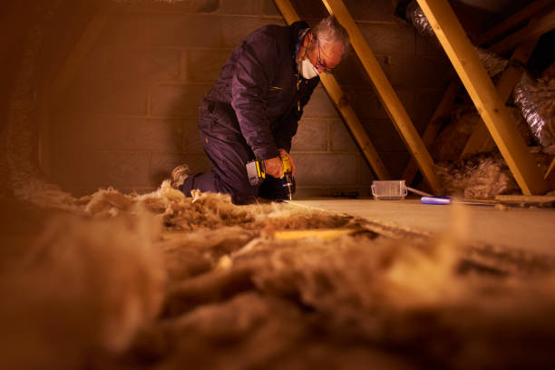 Best Attic Insulation Installation  in Teague, TX